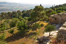 Israel-North-On Horseback in the Land of Galilee